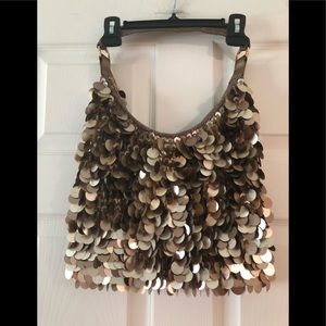 Sequin Purse Approx 12”x 12”